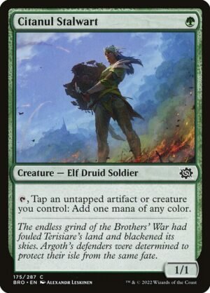 Citanul Stalwart - Foil<br /><span class="collector-number">Collector No. 175</span>