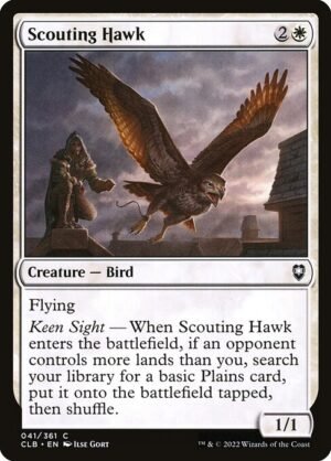 Scouting Hawk - Foil<br /><span class="collector-number">Collector No. 41</span>