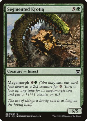 Segmented Krotiq<br /><span class="collector-number">Collector No. 202</span>