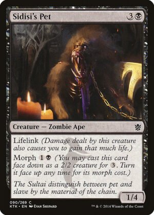 Sidisi's Pet<br /><span class="collector-number">Collector No. 90</span>