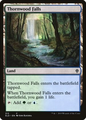 Thornwood Falls<br /><span class="collector-number">Collector No. 313</span>