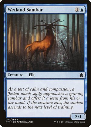 Wetland Sambar<br /><span class="collector-number">Collector No. 62</span>