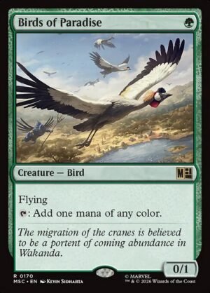 Birds of Paradise<br /><span class="collector-number">Collector No. 170</span>