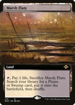Marsh Flats<br /><span class="collector-number">Collector No. 476</span>