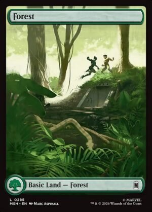 Forest<br /><span class="collector-number">Collector No. 285</span>