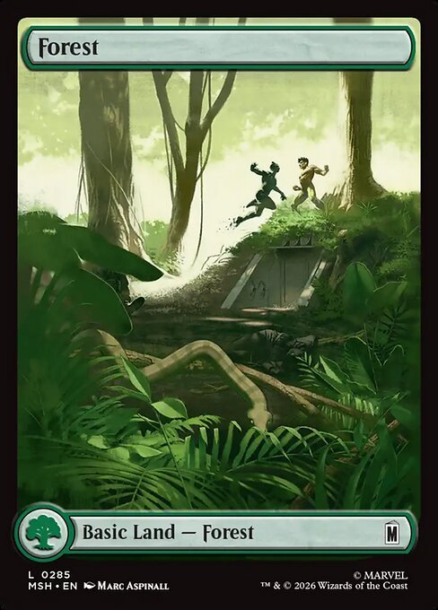 Forest - Foil<br /><span class="collector-number">Collector No. 285</span>