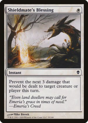 Shieldmate's Blessing<br /><span class="collector-number">Collector No. 35</span>
